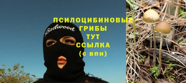 ешки Арсеньев