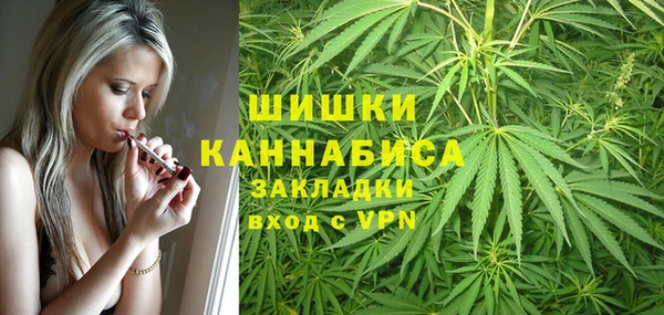 ешки Арсеньев